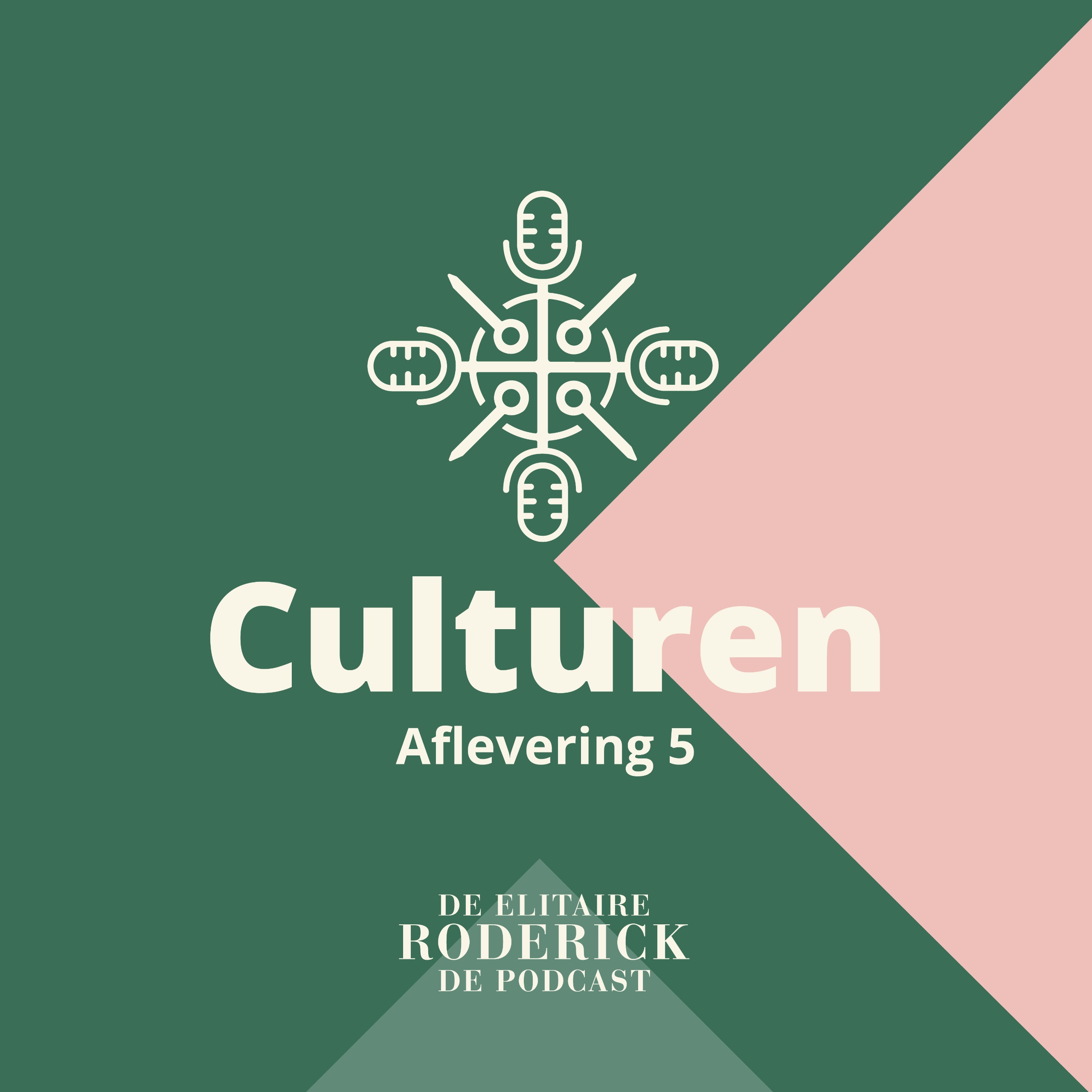 #5 – Culturen – De Elitaire Roderick | De Podcast