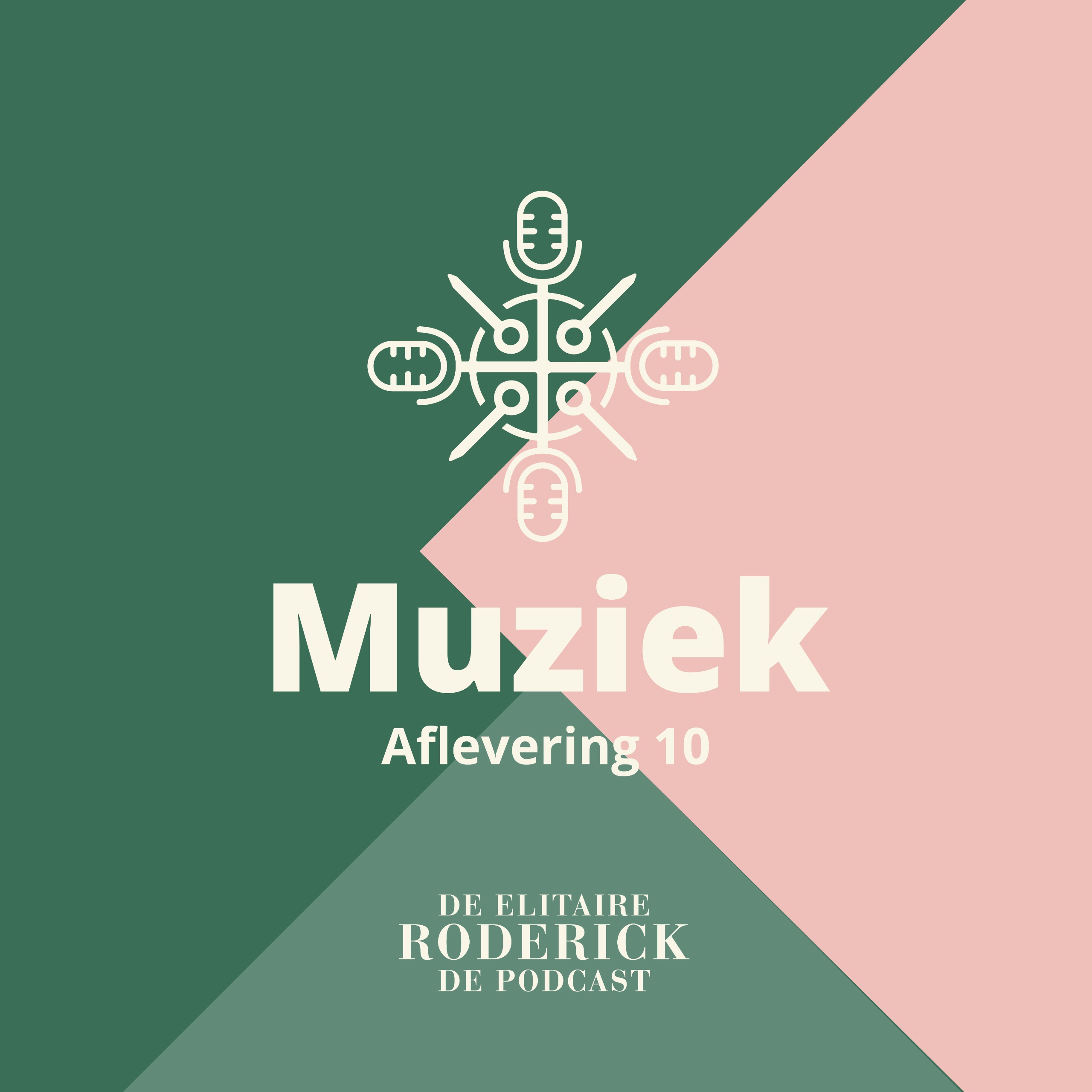 #10 – Muziek – De Elitaire Roderick | De Podcast