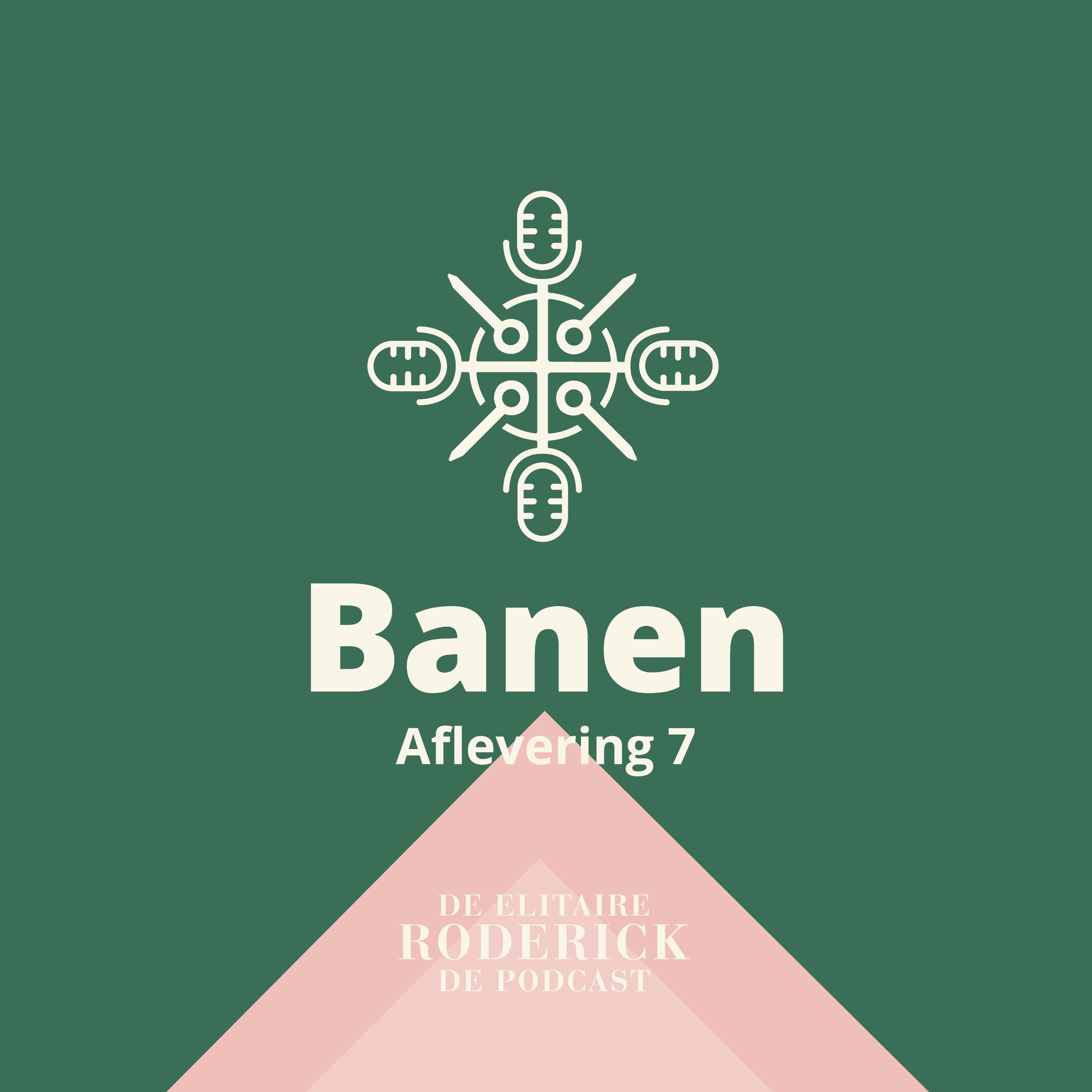 #7 – Banen – De Elitaire Roderick | De Podcast